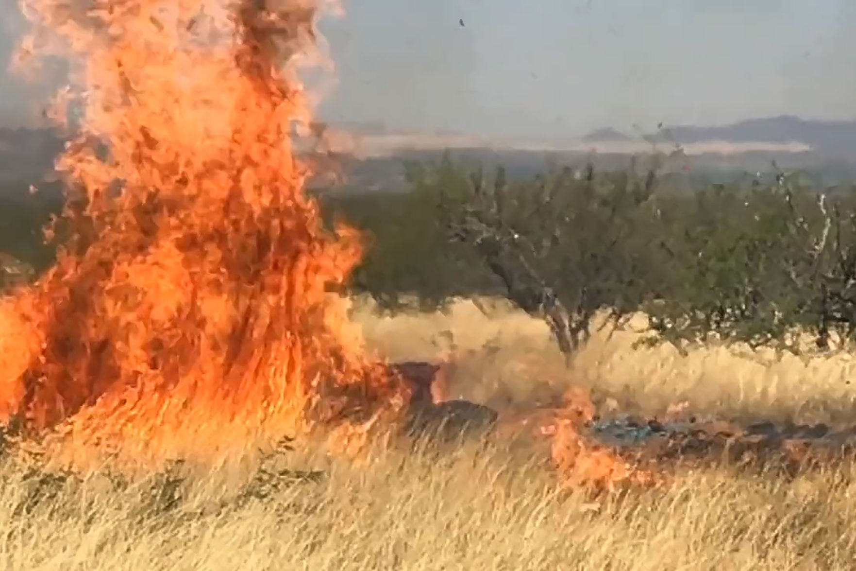 Gender Reveal Explosions